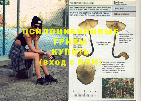 марки nbome Беломорск