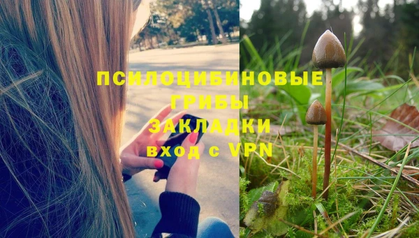 PSILOCYBIN Белоозёрский
