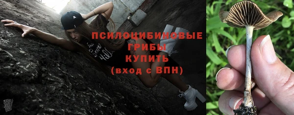 PSILOCYBIN Белоозёрский