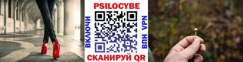 Псилоцибиновые грибы GOLDEN TEACHER купить сайты Высоковск